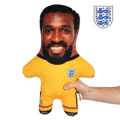 England Goalkeeper Face Pillow